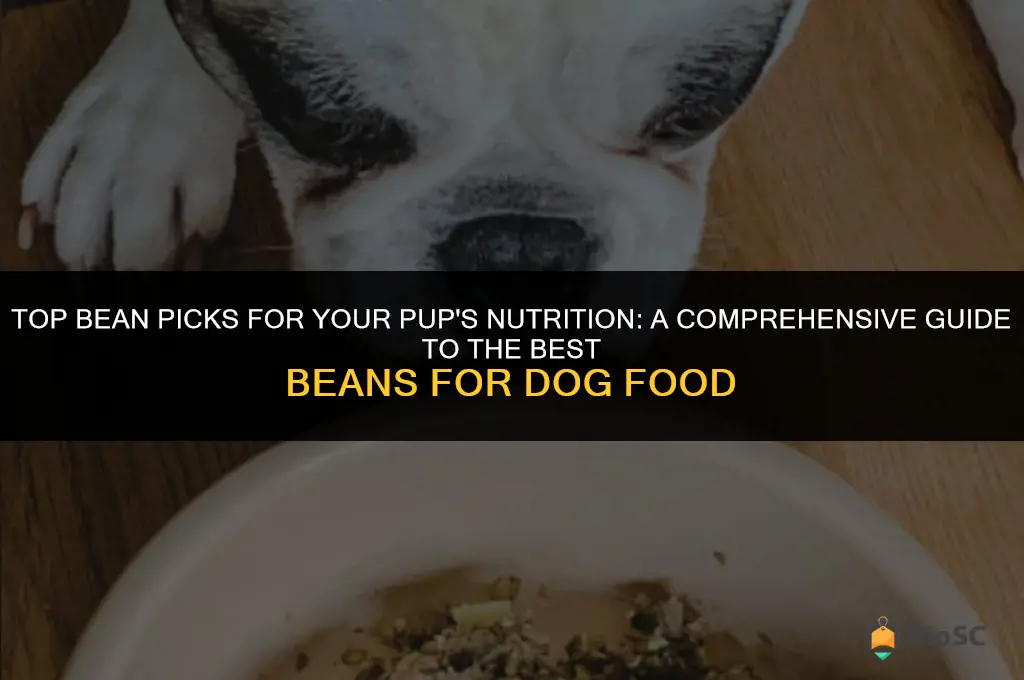 best beans for dog food