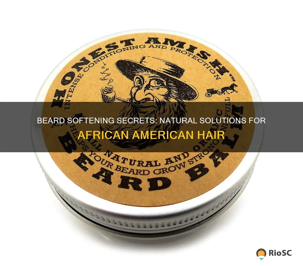 best beard softener for african american hair