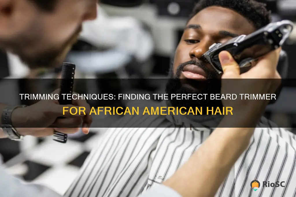 best beard trimmers for african american hair