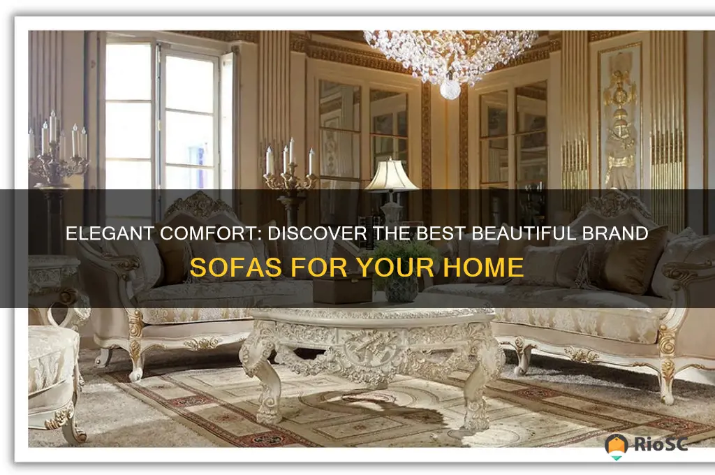best beautiful brand sofa
