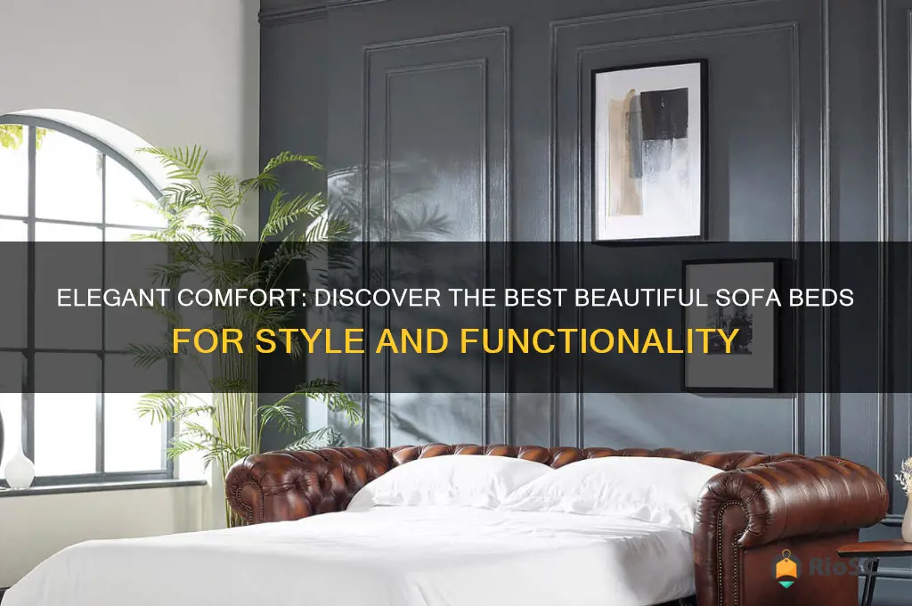 best beautiful sofa bed