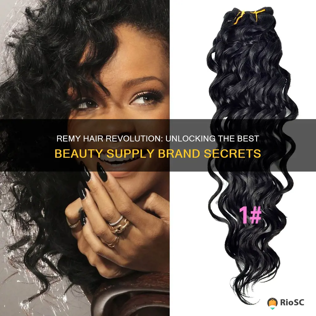 best beauty supply brand remy hair