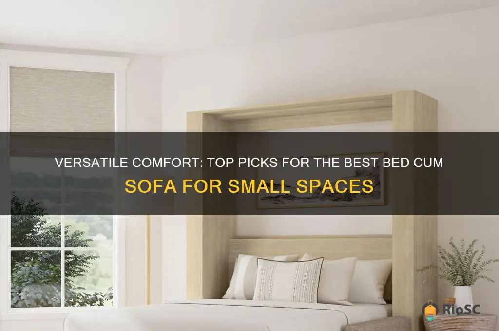 best bed cum sofa