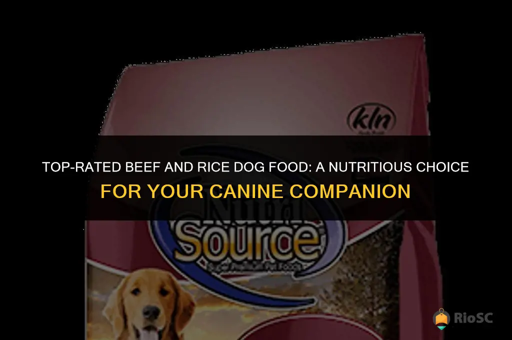 best beef and rice dog food