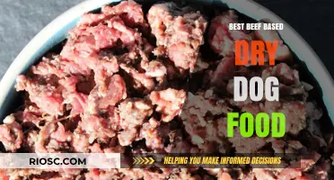 Top-Rated Beef-Based Dry Dog Foods: A Comprehensive Guide for Pet Owners