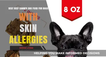 Top Picks for Sensitive Skin: The Best Beef Canned Dog Foods for Allergic Dogs