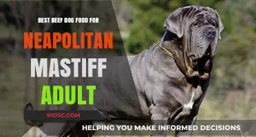 Top-Rated Beef Dog Food Options for Adult Neapolitan Mastiffs