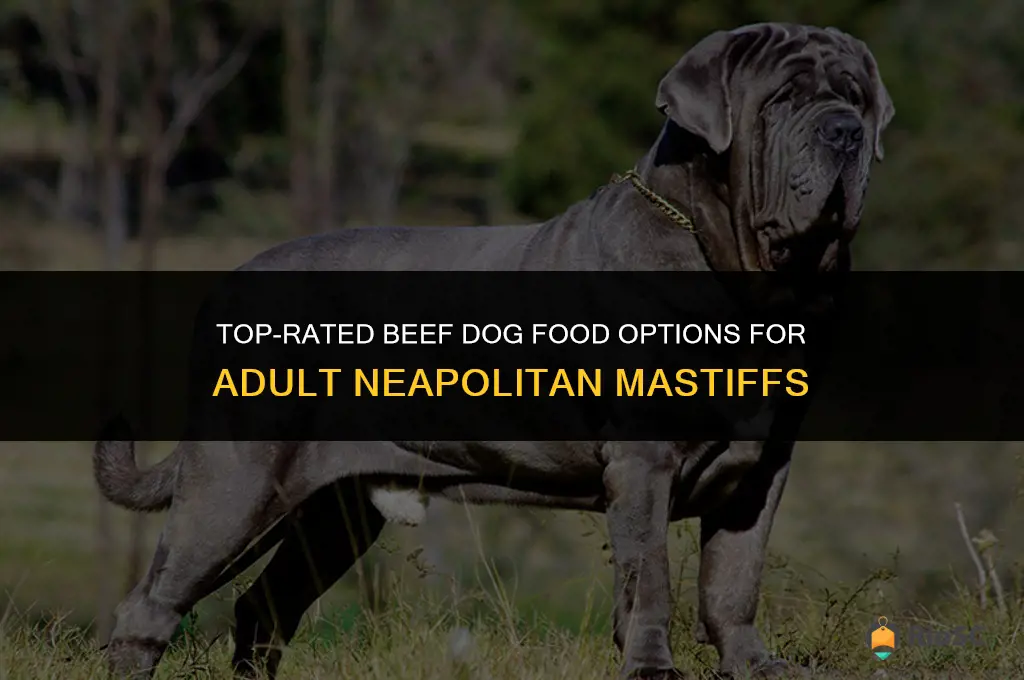 best beef dog food for neapolitan mastiff adult