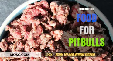 Top-Rated Beef Dog Food Options for Pitbulls: A Comprehensive Guide