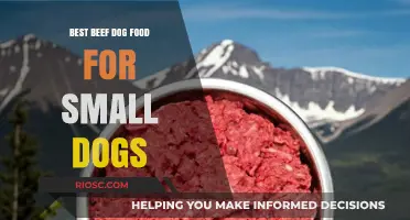 Top-Rated Beef Dog Food Options for Small Breeds: A Comprehensive Guide