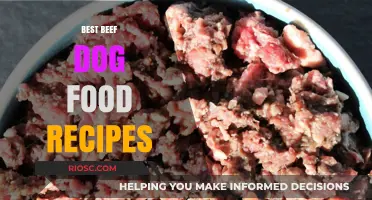 Wholesome and Delicious: Top Beef Dog Food Recipes for Your Furry Friend