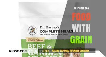 Top-Rated Beef Dog Food with Grain: A Comprehensive Guide for Pet Owners