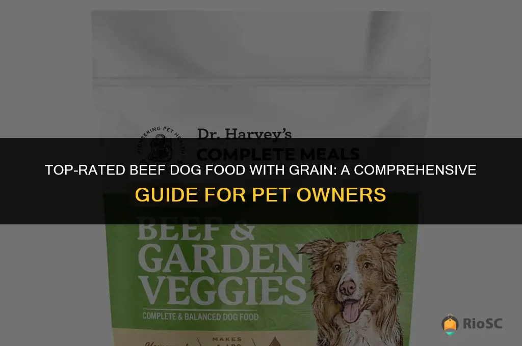 best beef dog food with grain