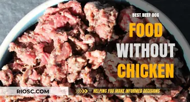 Top-Rated Beef Dog Foods: Delicious and Chicken-Free Options for Your Furry Friend