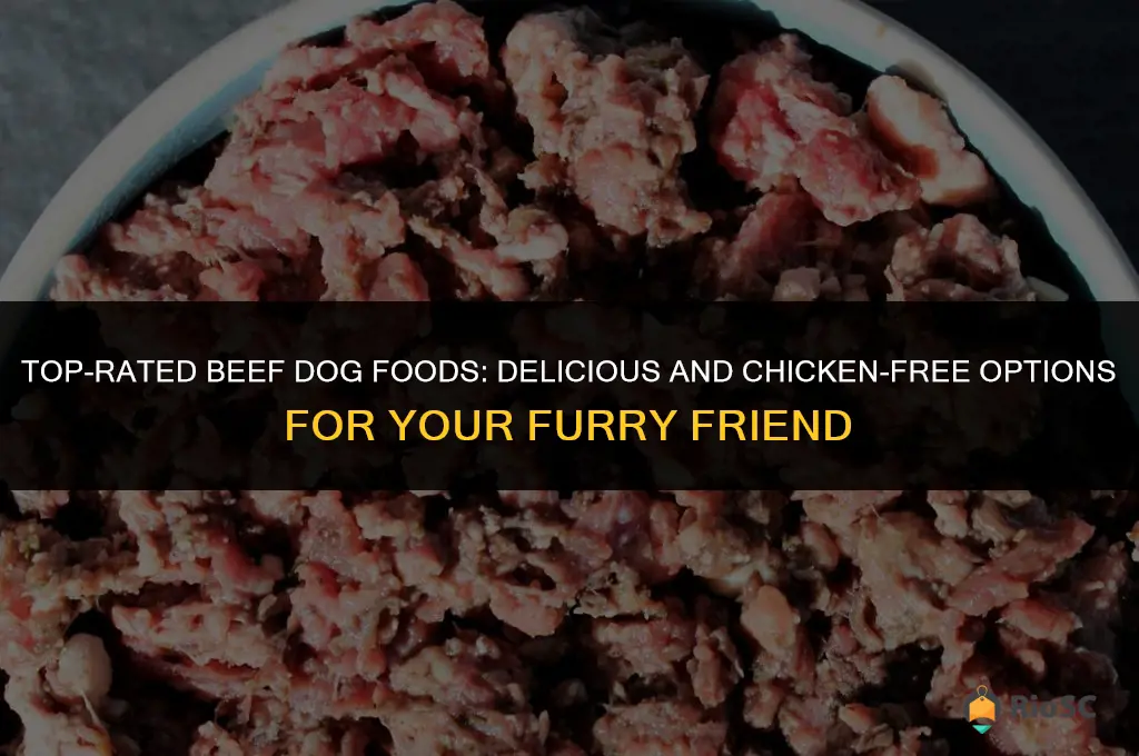 best beef dog food without chicken
