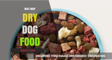 Top-Rated Beef Dry Dog Food Options for Optimal Canine Nutrition and Health