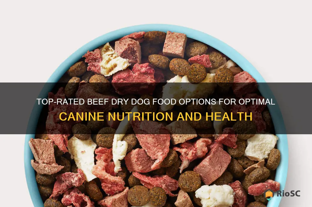 best beef dry dog food