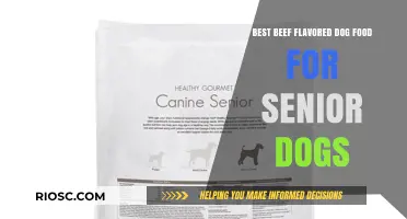 Top-Rated Beef Flavored Dog Food for Senior Dogs: Nourishing Options for Your Aging Companion