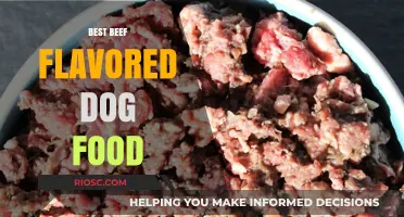 Top-Rated Beef Flavored Dog Food: A Comprehensive Guide for Pet Owners