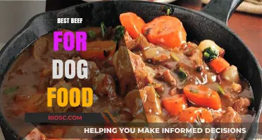 Top-Quality Beef Options for Your Dog's Nutritional Needs