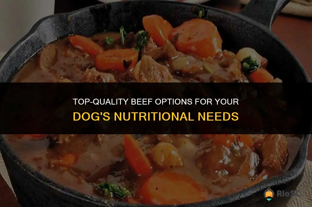 best beef for dog food