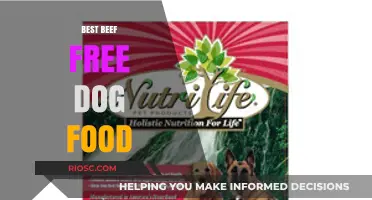 Top Picks for Your Furry Friend: The Best Beef-Free Dog Food Options