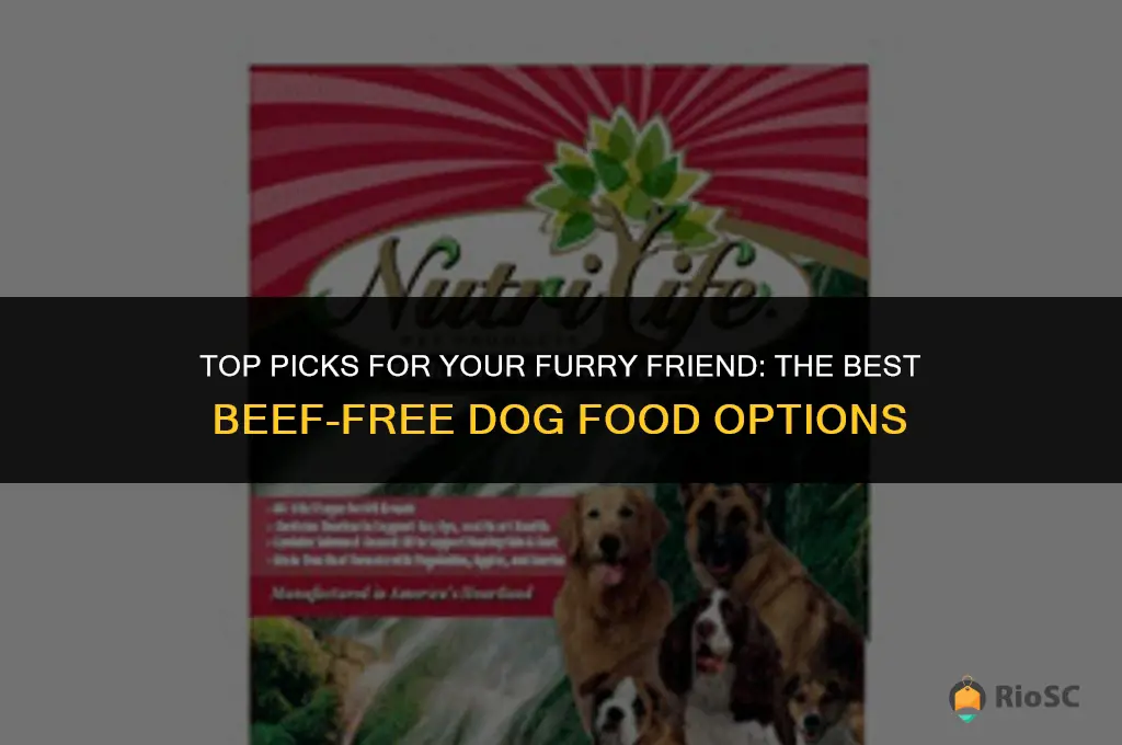 best beef free dog food