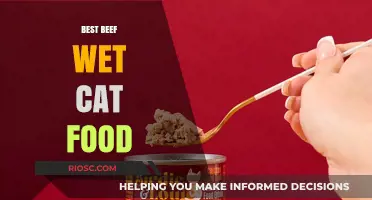 Top-Rated Beef Wet Cat Food: A Comprehensive Guide for Feline Nutrition
