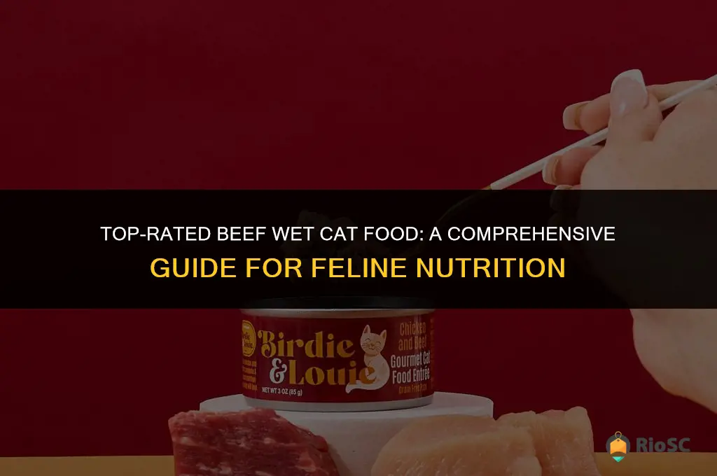 best beef wet cat food