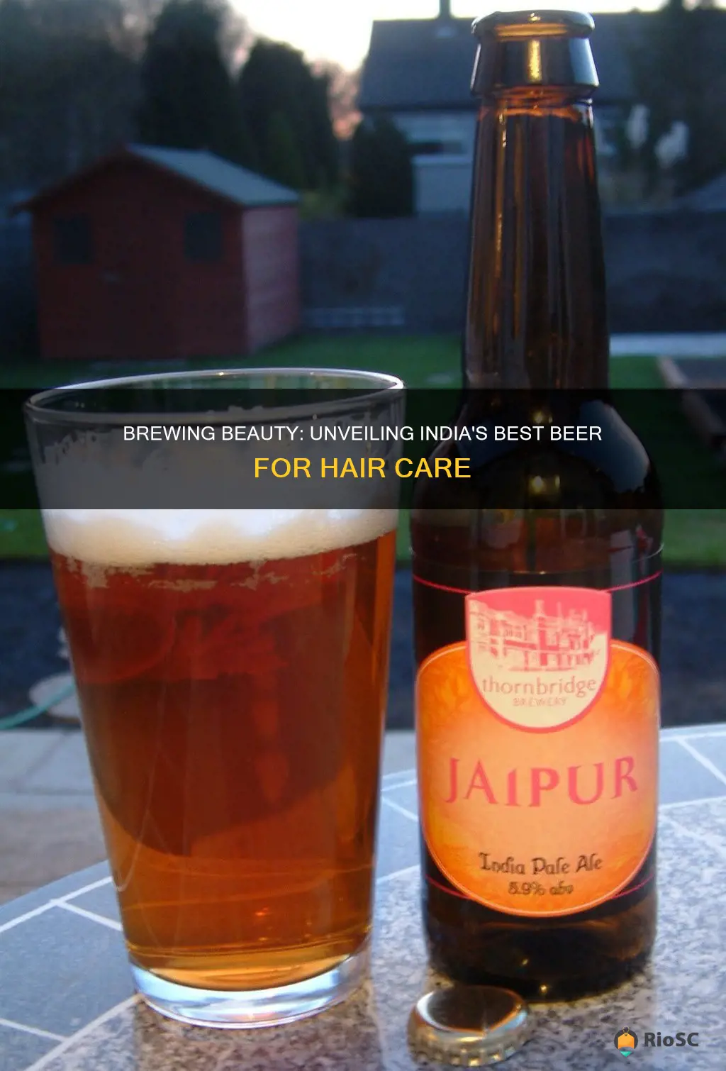 best beer for hair in india