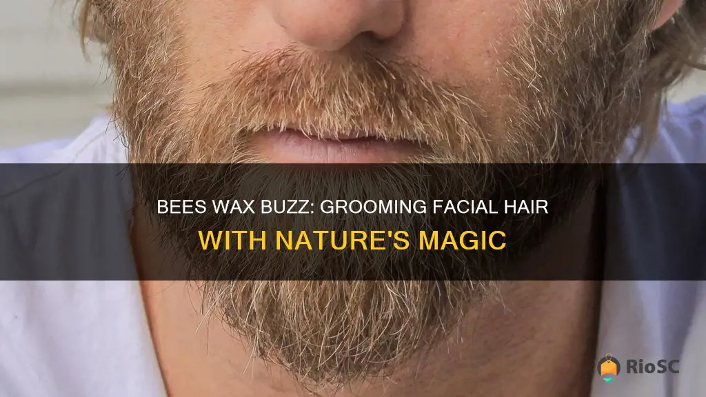 best bees wax for facial hair