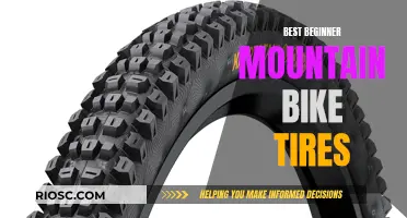 The Ultimate Guide to Choosing the Best Mountain Bike Tires for Beginners