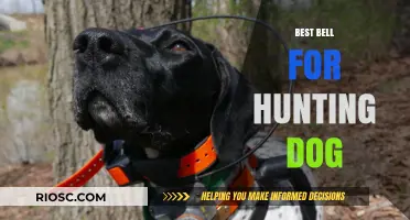 Top Hunting Dog Bells: Enhance Safety and Tracking in the Field