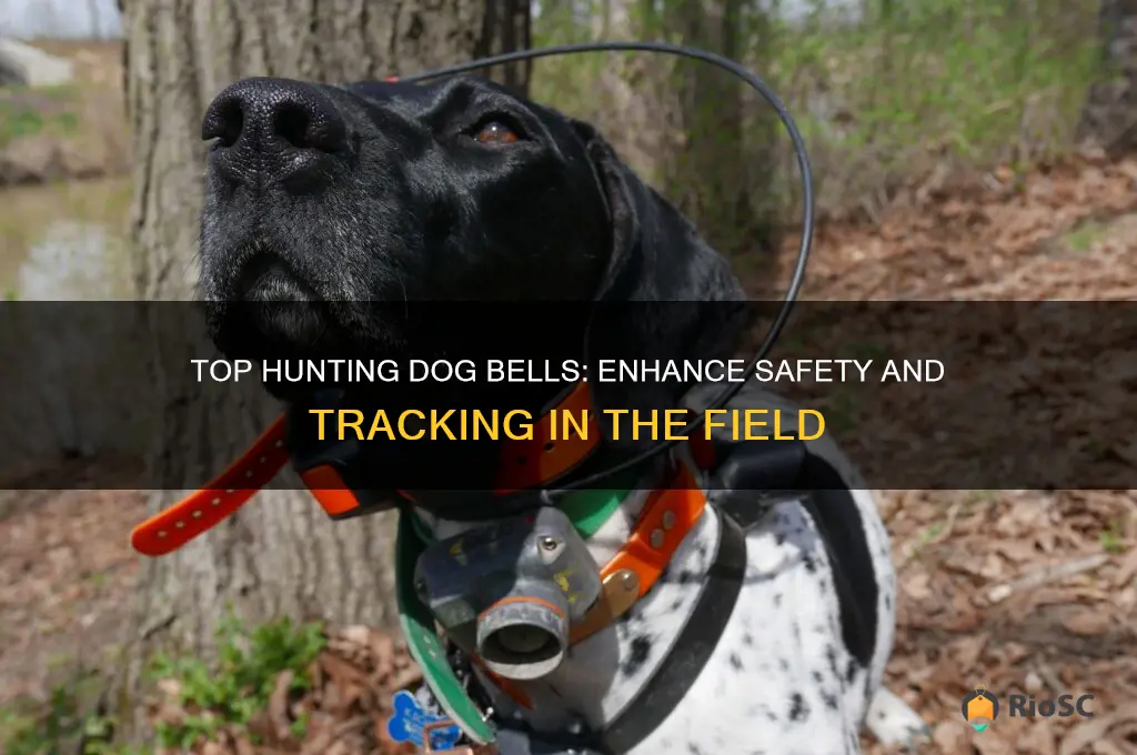 best bell for hunting dog