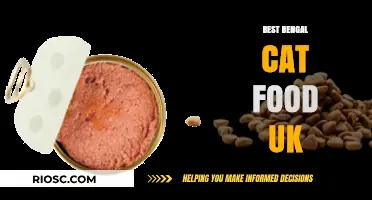 Top-Rated Bengal Cat Food Options in the UK: A Comprehensive Guide for Feline Nutrition