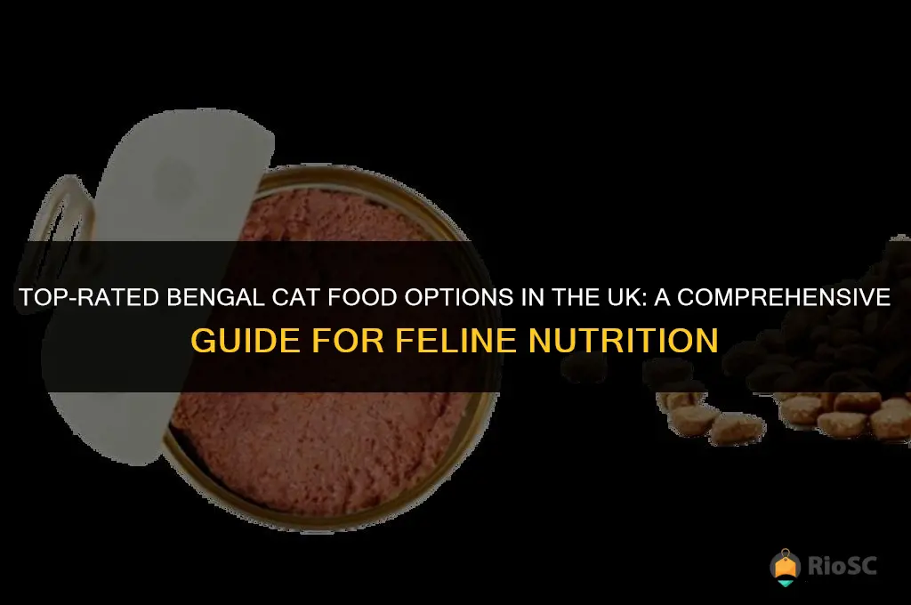 best bengal cat food uk