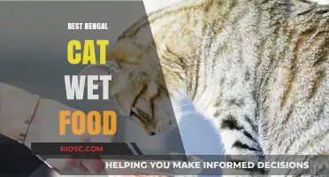 Top Picks for Bengal Cat Wet Food: Nourishing Your Feline Friend