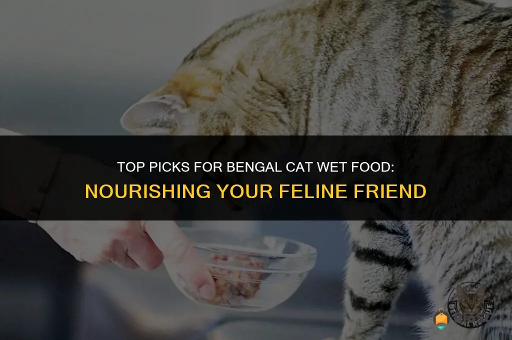 best bengal cat wet food
