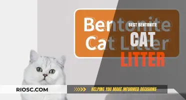 Top Picks for Bentonite Cat Litter: Premium Clumping Solutions for a Fresh and Clean Litter Box
