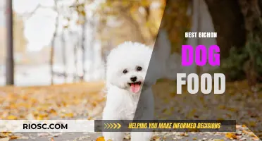 Top Nutrition Picks: The Best Dog Food for Your Bichon Frise