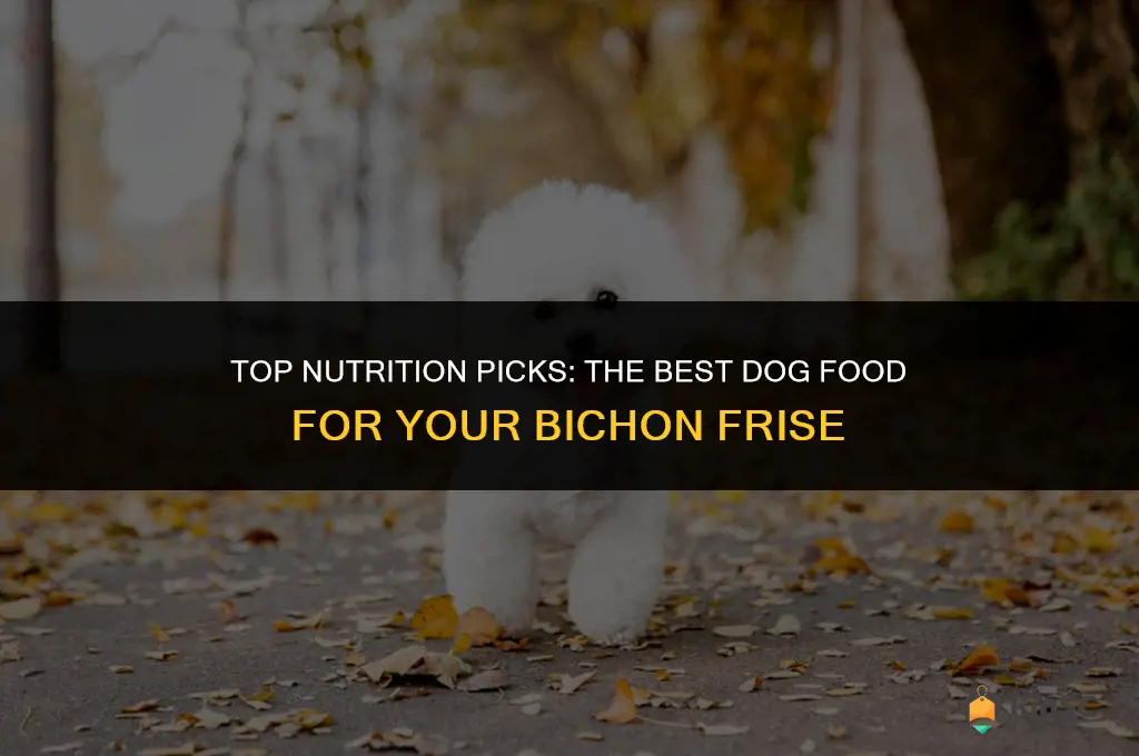 best bichon dog food