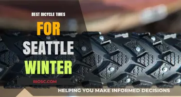Conquering Seattle's Winter Roads: A Guide to the Best Bicycle Tires for Rainy and Slippery Conditions