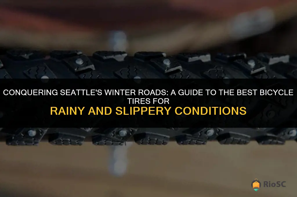 best bicycle tires for seattle winter