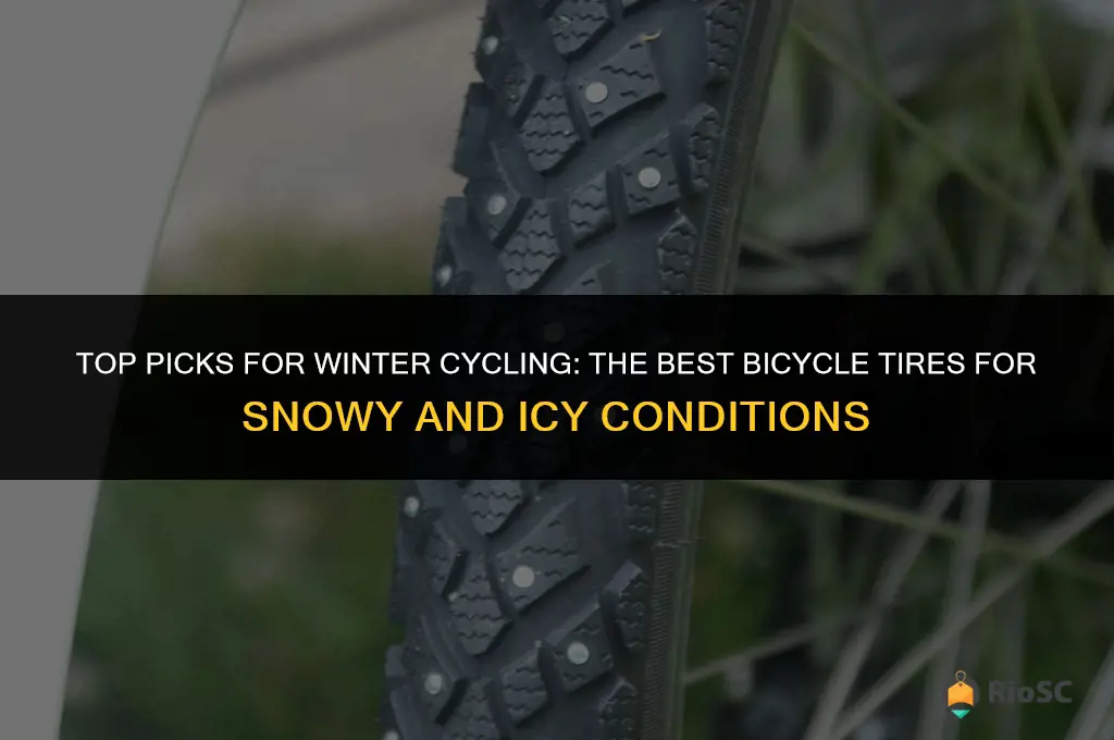 best bicycle winter tires
