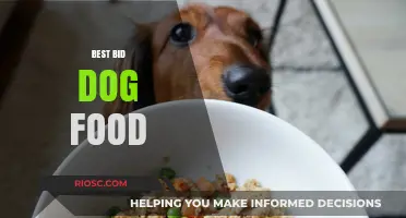 Top-Rated Dog Food: A Comprehensive Guide to Choosing the Best for Your Furry Friend