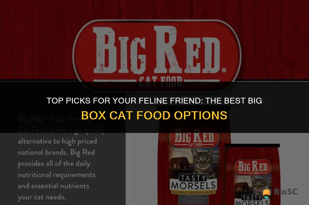 best big box cat food