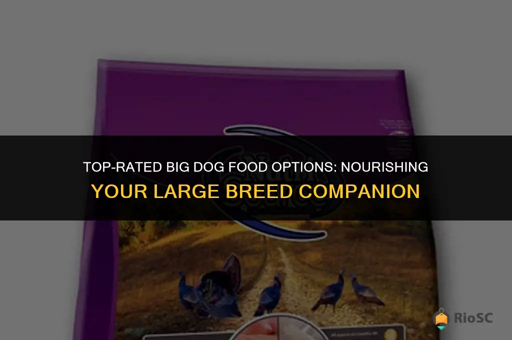 best big dog food options