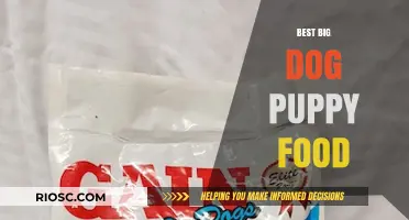 Top Picks for Big Dog Puppy Food: Nourishing Your Growing Companion