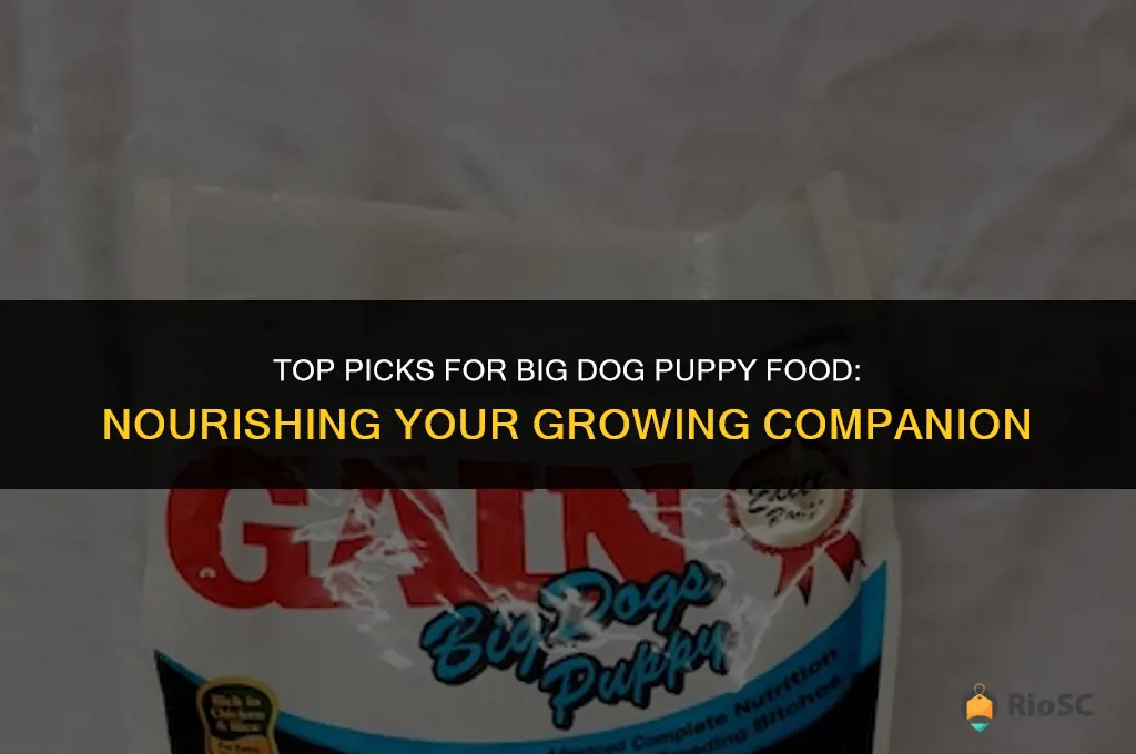 best big dog puppy food