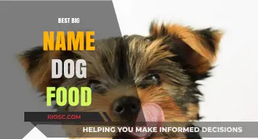 Top Picks for Your Furry Friend: The Best Big-Name Dog Foods of 2024